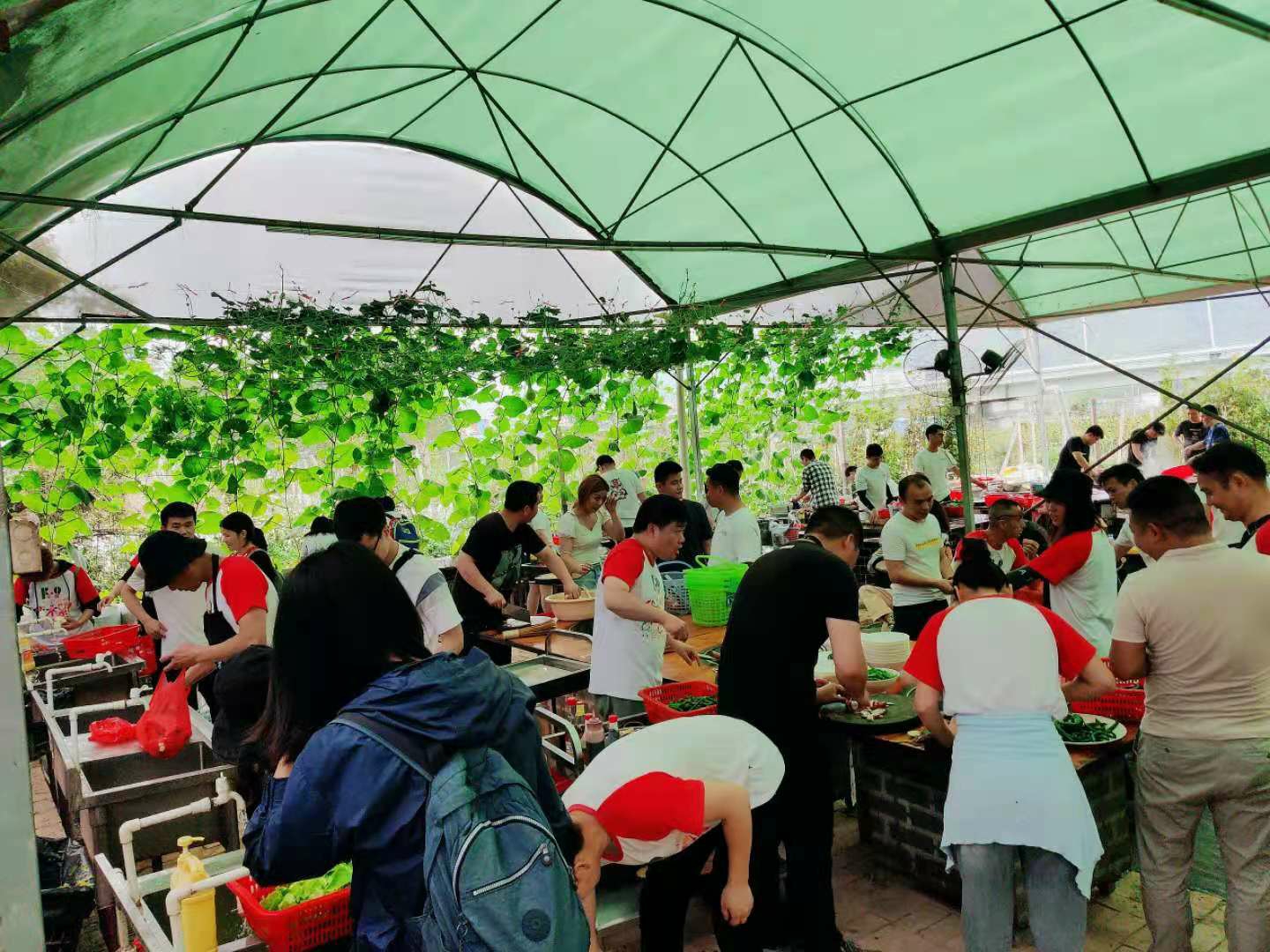 荣强农家乐活动